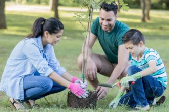 What Is Green Banking: 4 Ways You Can Help Protect The Environment