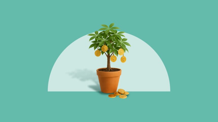 Dividend Stocks: What They Are And How To Invest In Them