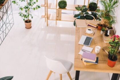 What I Learned About Blogging, Money, and Freedom