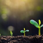 Best Growth ETFs | Bankrate