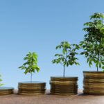 Best Compound Interest Investments | Bankrate