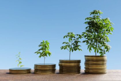 Best Compound Interest Investments | Bankrate