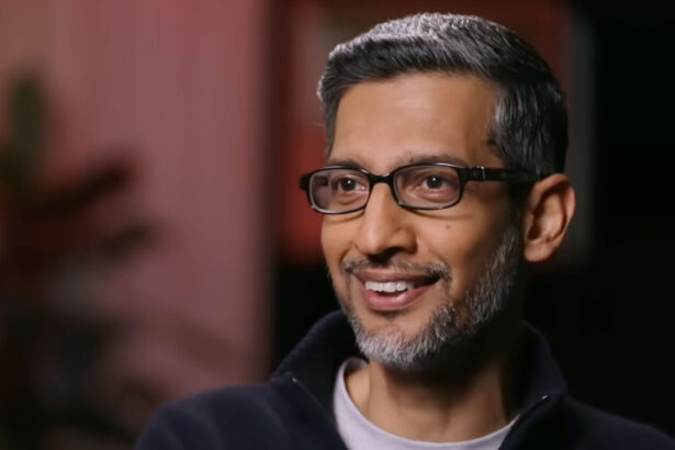 Google CEO Sundar Pichai Says Information Ecosystem Is Richer Than AI