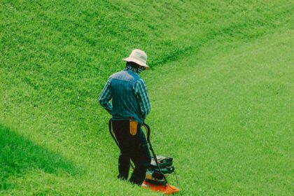 TaskEasy: Make Money Mowing Lawns